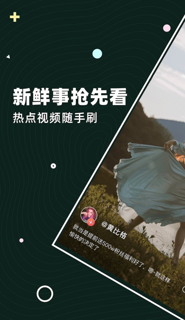 茶豚短剧